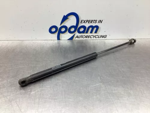 Set Gasdempers Achterklep-7842281 (18572427)