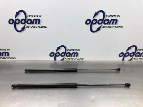 Set Gasdempers Achterklep-8108186 (20635063)