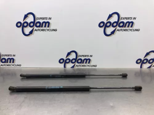 Set Gasdempers Achterklep-8108186 (20636002)