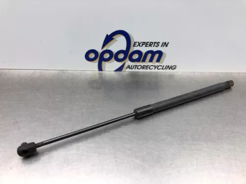 Set Gasdempers Achterklep-8191090 (21451018)