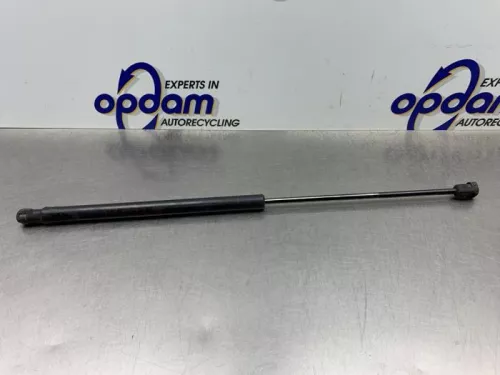 Set Gasdempers Achterklep-8217675 (21461146)