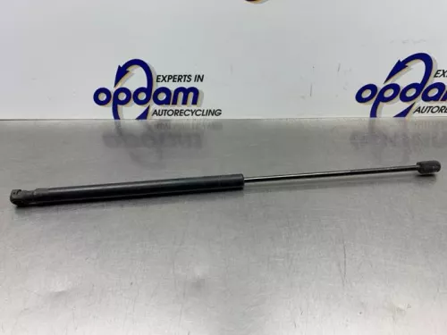 Set Gasdempers Achterklep-8217675 (21461146)