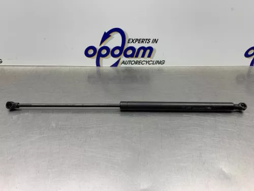 Set Gasdempers Achterklep-8267260 (21773931)