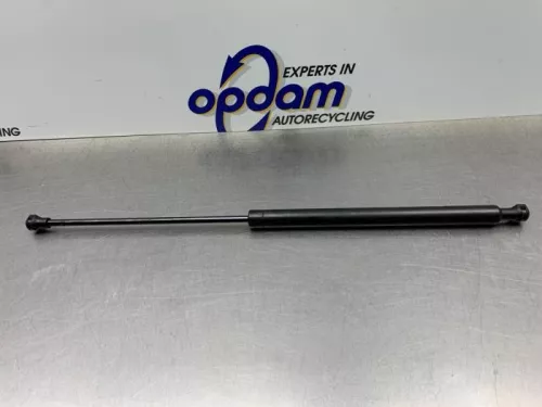 Set Gasdempers Achterklep-8267260 (21773931)