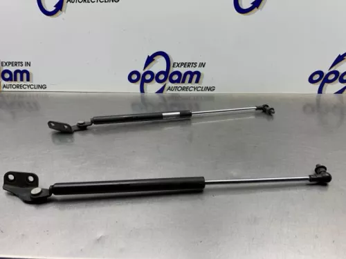 Set Gasdempers Achterklep-8264895 (21777030)