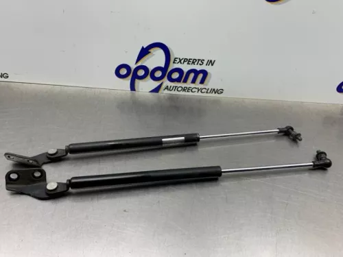Set Gasdempers Achterklep-8264895 (21777030)