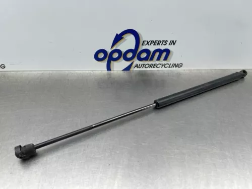Set Gasdempers Achterklep-8188069 (22570095)