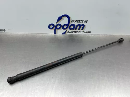 Set Gasdempers Achterklep-8188069 (22570095)