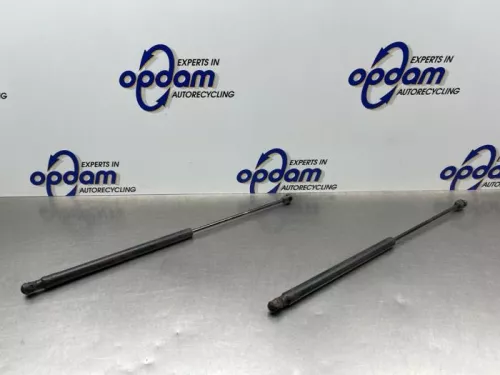 Set Gasdempers Achterklep-8188069 (22570095)