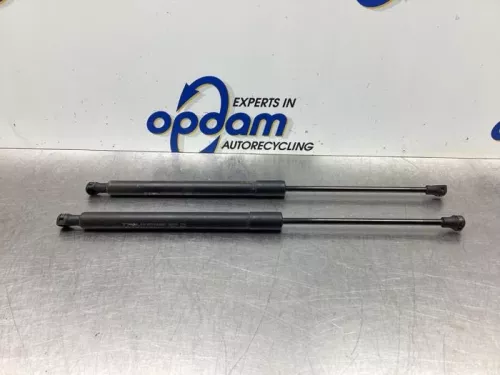 Set Gasdempers Achterklep-7924166 (18518431)
