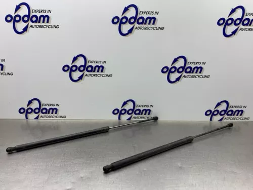 Set Gasdempers Achterklep-8279371