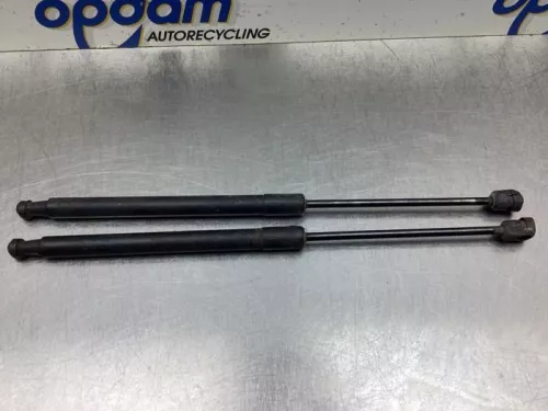 Set Gasdempers Achterklep-7846565