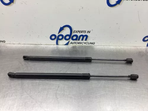 Set Gasdempers Achterklep-8123087