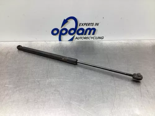 Set Gasdempers Achterklep-7715753 (17323065)