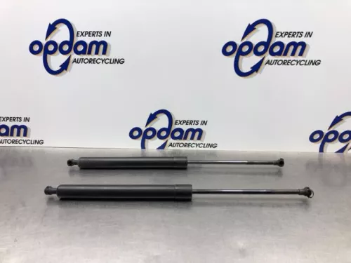 Set Gasdempers Achterklep-8188066