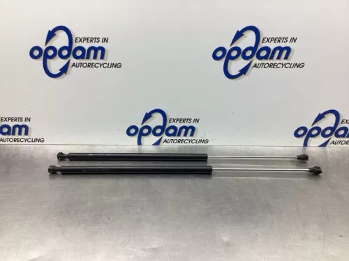 Set Gasdempers Achterklep-7746233 (17574750)