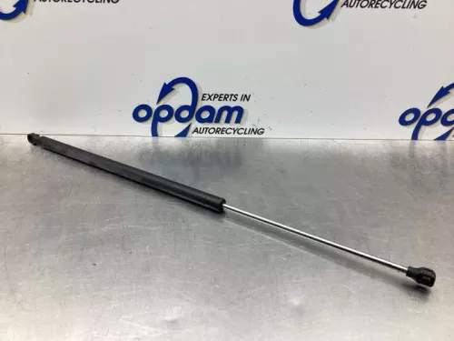 Set Gasdempers Achterklep-7746233 (17574750)
