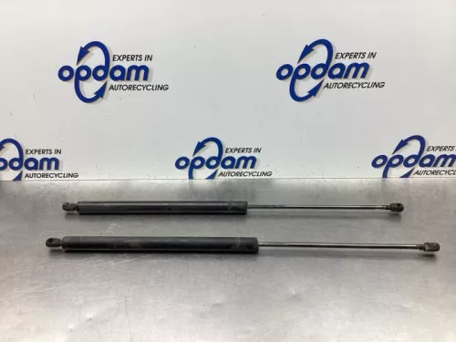 Set Gasdempers Achterklep-8048308