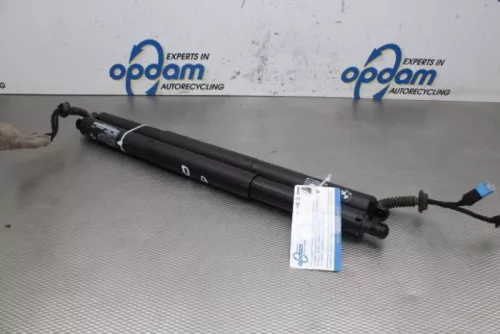 Set Gasdempers Achterklep-7608735