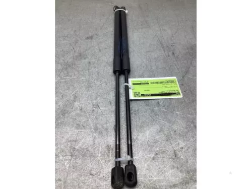 Set Gasdempers Achterklep-8202833 (22285667)