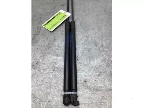 Set Gasdempers Achterklep-8202833 (22285667)