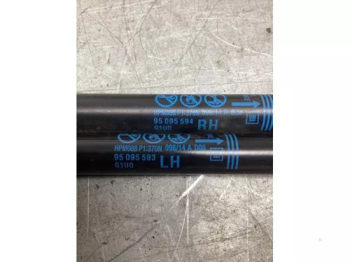 Set Gasdempers Achterklep-8065484 (21075999)