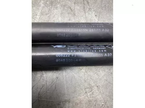 Set Gasdempers Achterklep-8103030 (21199017)