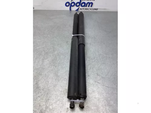 Set Gasdempers Achterklep-5401117 (17730938)