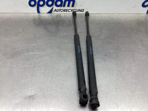 Set Gasdempers Achterklep-8034152 (18665257)