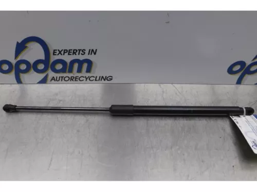 Set Gasdempers Achterklep-7877681 (14710176)
