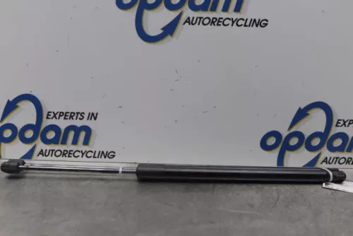 Set Gasdempers Achterklep-7877347