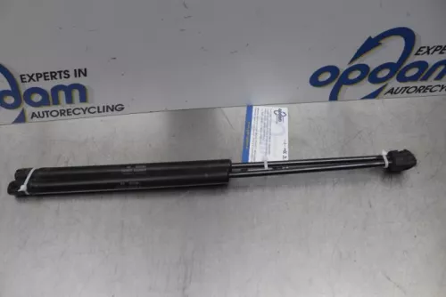 Set Gasdempers Achterklep-7877029