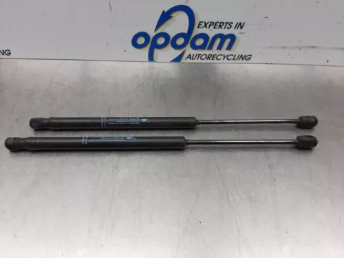 Set Gasdempers Achterklep-7614783