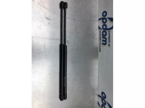 Set Gasdempers Achterklep-7871208