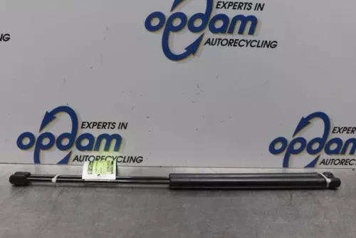 Set Gasdempers Achterklep-