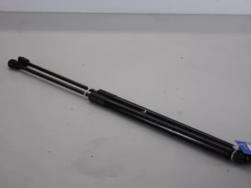 Set Gasdempers Achterklep-7886749