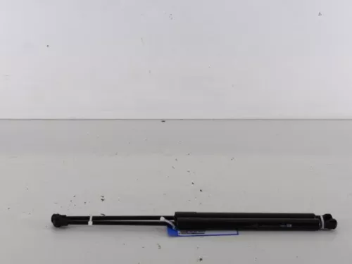 Set Gasdempers Achterklep-7890313