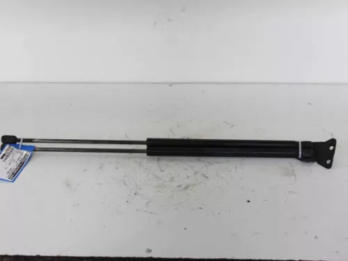 Set Gasdempers Achterklep-7712872 (5504881)