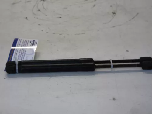 Set Gasdempers Achterklep-7880441 (11579977)