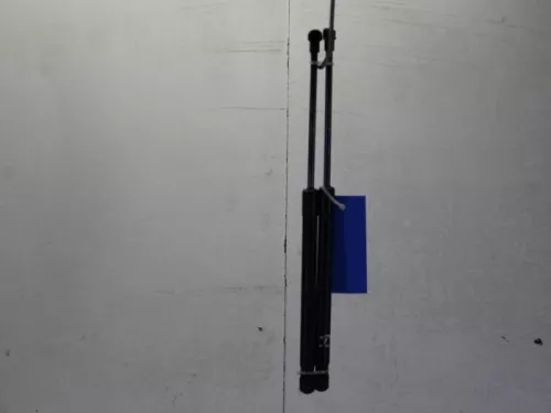 Set Gasdempers Achterklep-7840699 (11088033)