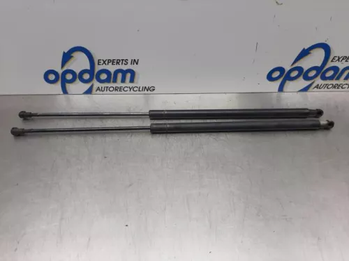 Set Gasdempers Achterklep-7587977 (16292915)