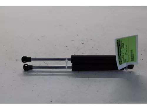 Set Gasdempers Achterklep-7878633
