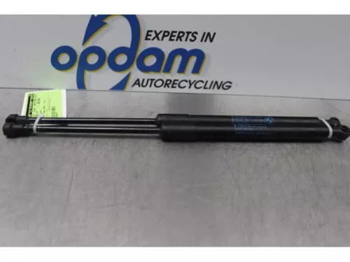 Set Gasdempers Achterklep-7590779