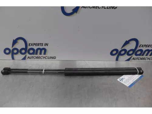 Set Gasdempers Achterklep-7582634