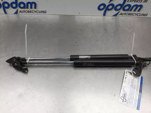 Set Gasdempers Achterklep-7712363