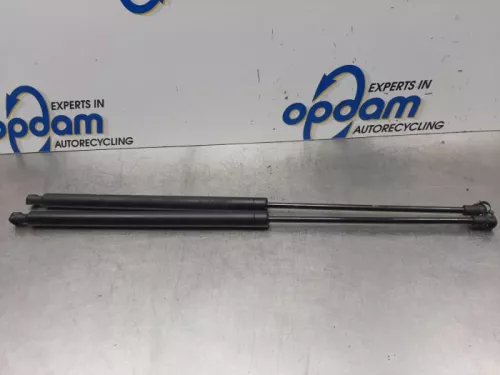 Set Gasdempers Achterklep-7577242