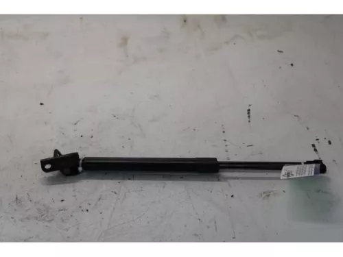 Set Gasdempers Achterklep-7616005