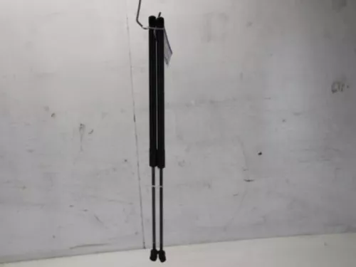 Set Gasdempers Achterklep-7880421