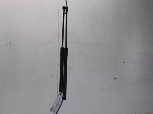 Set Gasdempers Achterklep-7878973