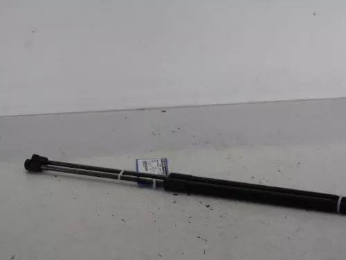 Set Gasdempers Achterklep-7887158